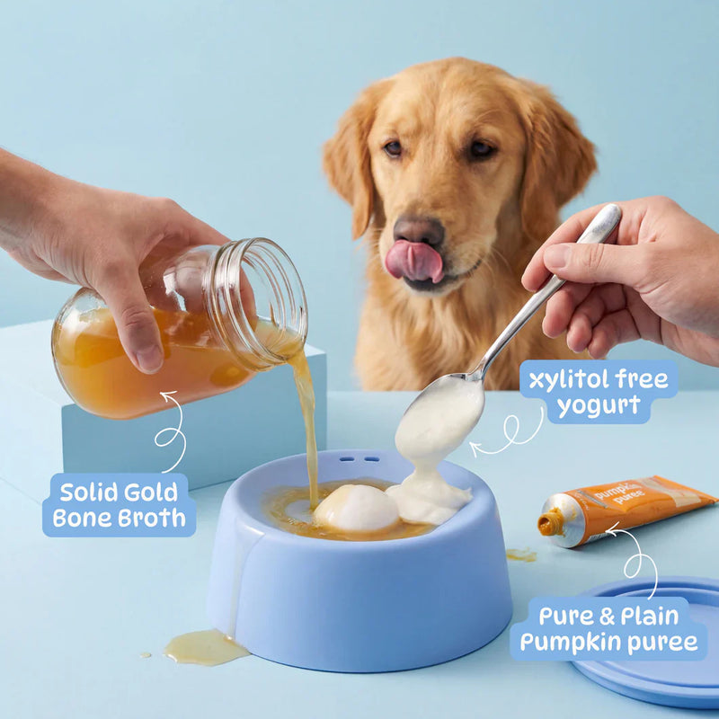The anxiety bowl that saves your home not just your nerves